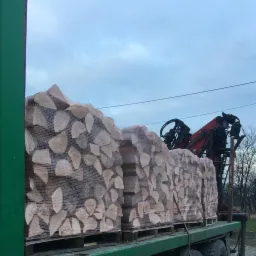 Załadunek workowanego drewna na paletach przy użyciu dźwigu samochodowego na tle pochmurnego nieba.