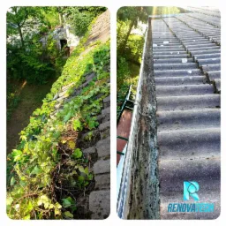 Zdjęcie przedstawia fragment dachu zarośniętego bluszczem oraz brudną rynnę, widoczne zanieczyszczenia i osady na powierzchni dachu i w rynnie, w tle zieleń drzew.