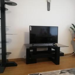 Usługi spawalnicze obrubka metali Pw-spaw - Nowoczesny salon z czarnym stolikiem RTV ze szklanym blatem, wysokim regałem z okrągłymi półkami i rośliną doniczkową na drewnianym postumencie.