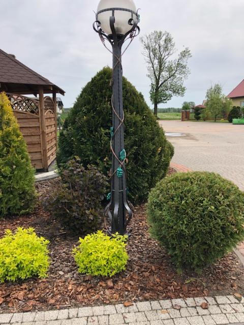 Kuta, metalowa lampa ogrodowa z motywem winorośli i szklaną kulą, otoczona krzewami na ściółce z kory, w tle altana i budynek mieszkalny.