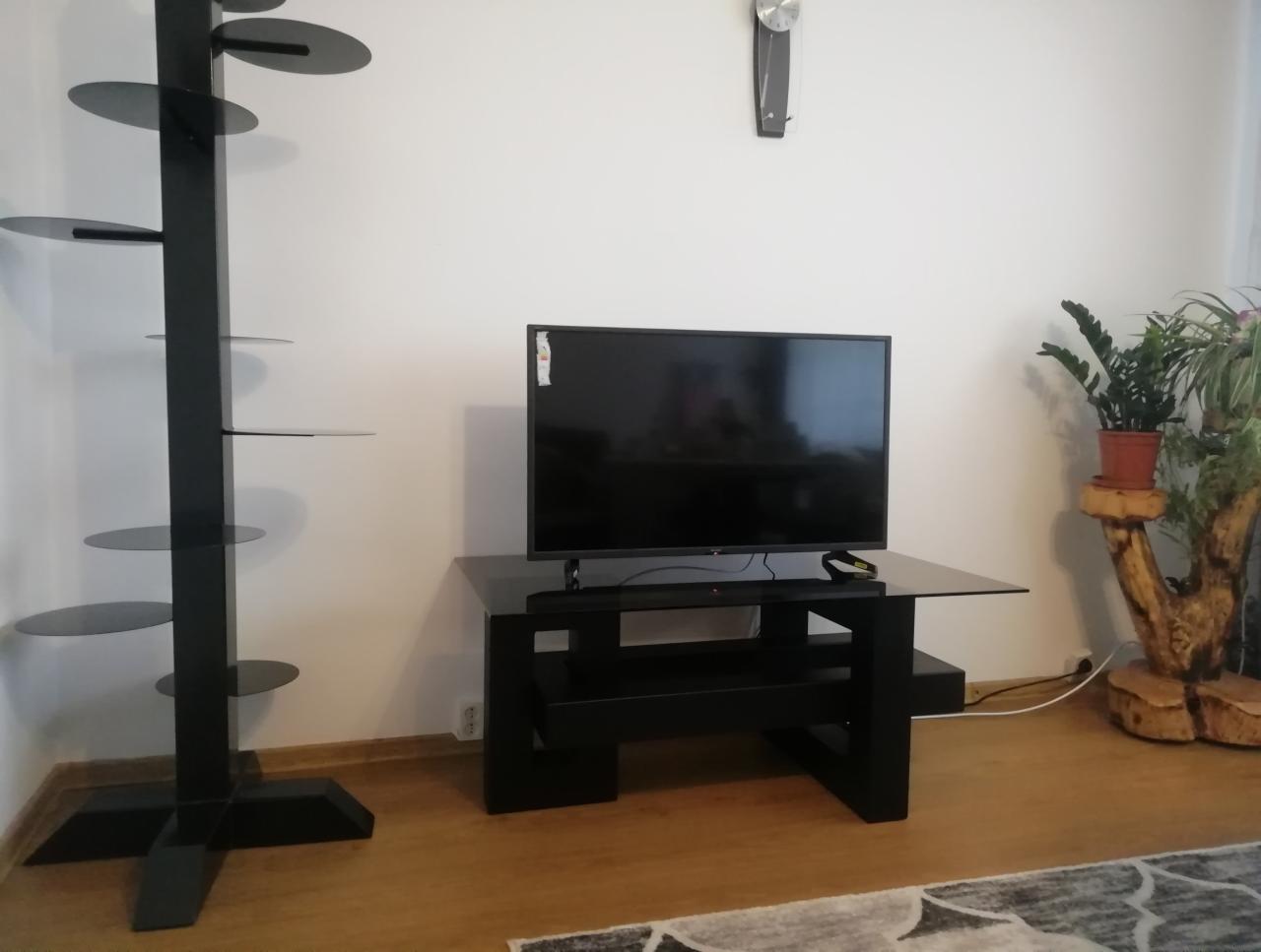 Nowoczesny salon z czarnym stolikiem RTV ze szklanym blatem, wysokim regałem z okrągłymi półkami i rośliną doniczkową na drewnianym postumencie.