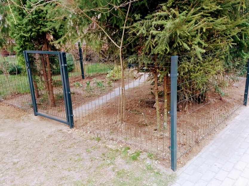 Nowoczesne ogrodzenie panelowe z furtką, otaczające trawnik z młodymi drzewami iglastymi i ścieżką z kostki.
