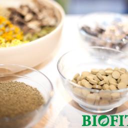 Biofiton - 100% natury. Na zdjęciu fitotabletki ziołowe, czyli sprasowany pył roślinny uzyskany metodą mielenia kriogenicznego