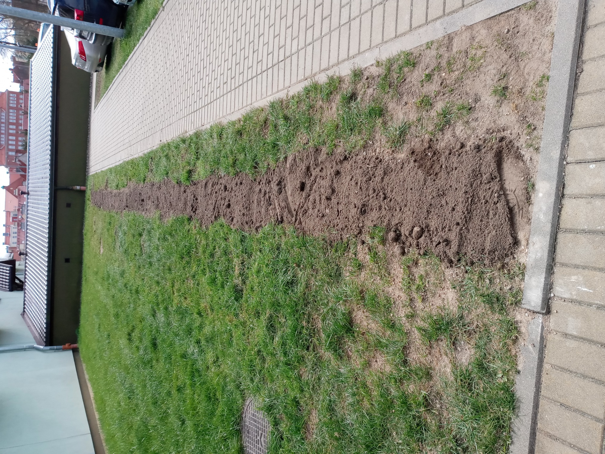 Wąski wykop w trawniku, biegnący wzdłuż chodnika z kostki brukowej i ściany budynku. Widoczny fragment samochodu w tle.