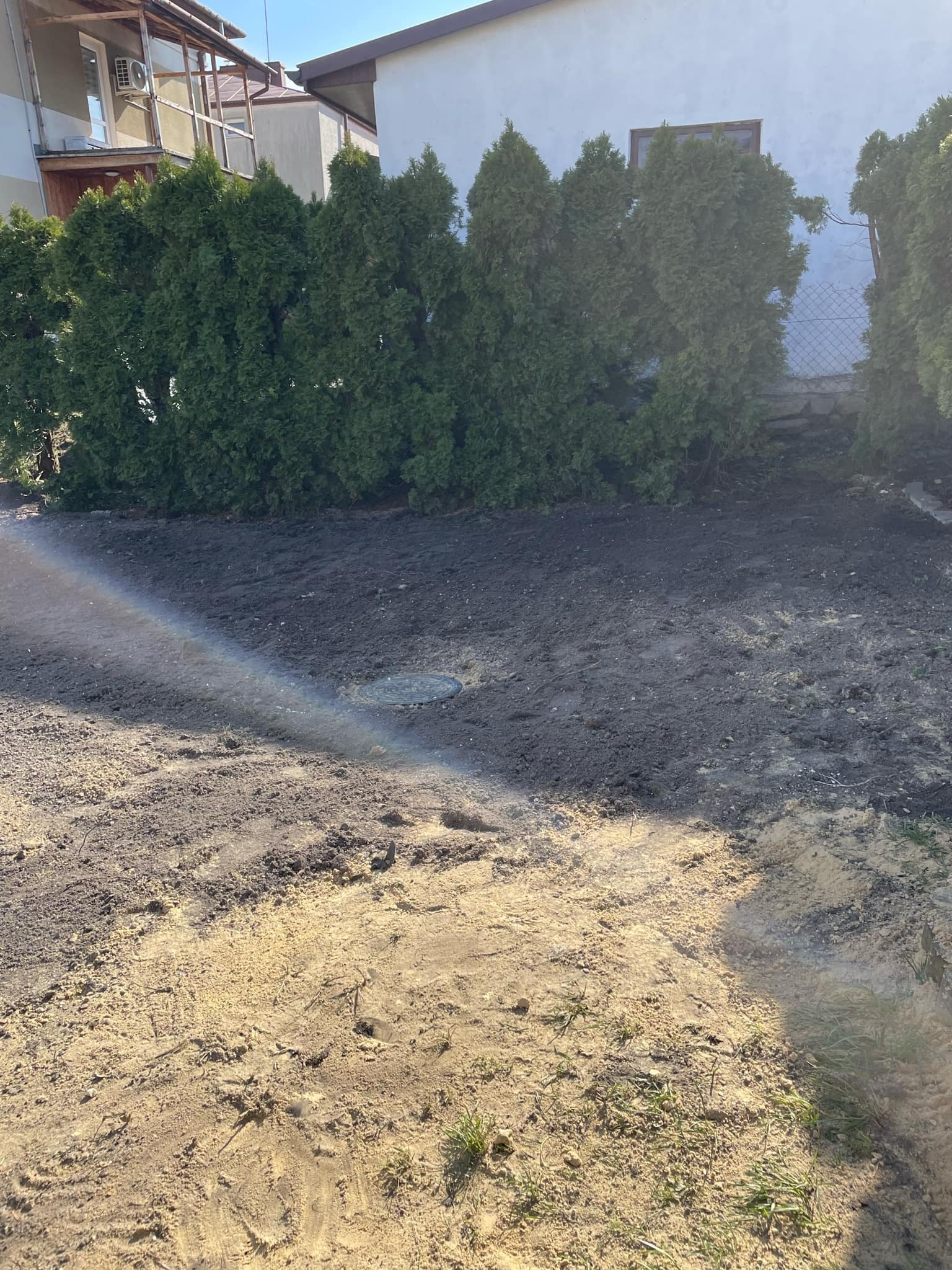 Przygotowany teren pod trawnik, widoczna wyrównana ziemia z elementem studzienki kanalizacyjnej, w tle rząd tuj.