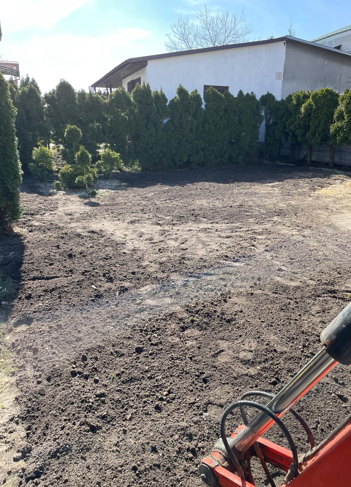Przygotowany teren pod trawnik z widocznymi śladami pracy maszyn, w tle rząd tuj i budynek.