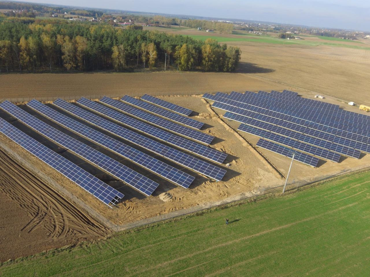 Rozległa farma paneli słonecznych z perspektywy lotu ptaka, widoczna osoba w oddali oraz las na horyzoncie.