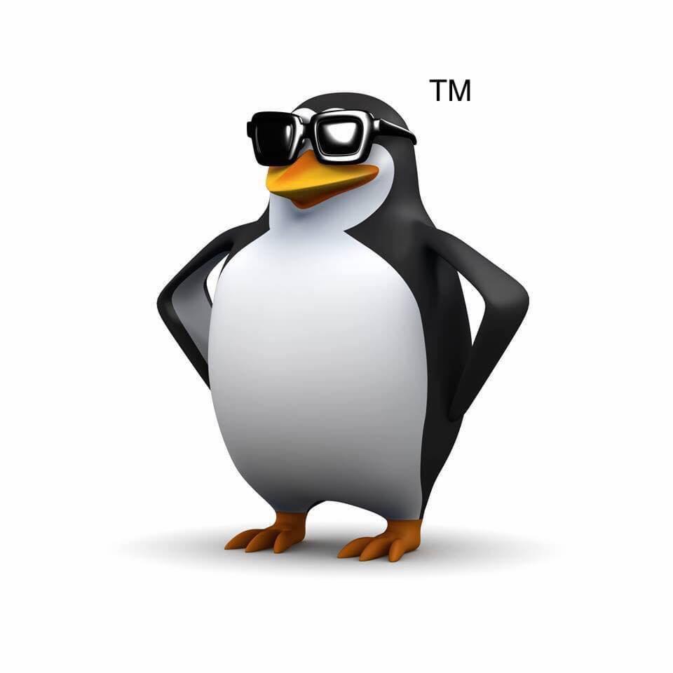 Kreskówkowy pingwin z czarno-białym upierzeniem, pomarańczowym dziobem i stopami, noszący czarne, kwadratowe okulary przeciwsłoneczne, stojący na białym tle z rękami opartymi na biodrach i znakiem...