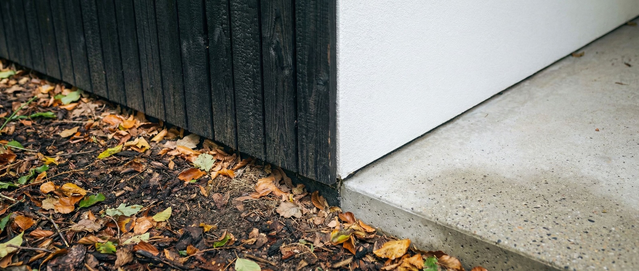 Detal elewacji budynku z czarną drewnianą okładziną i białą, teksturowaną ścianą, połączonych z betonowym chodnikiem, otoczonych opadłymi liśćmi.