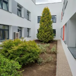 Wewnętrzny dziedziniec budynku z nasadzeniami: iglaki, krzewy i drobne rośliny okrywowe na gruncie obsypanym korą. Na ścianach budynku okna z szarymi ramami i klimatyzator.