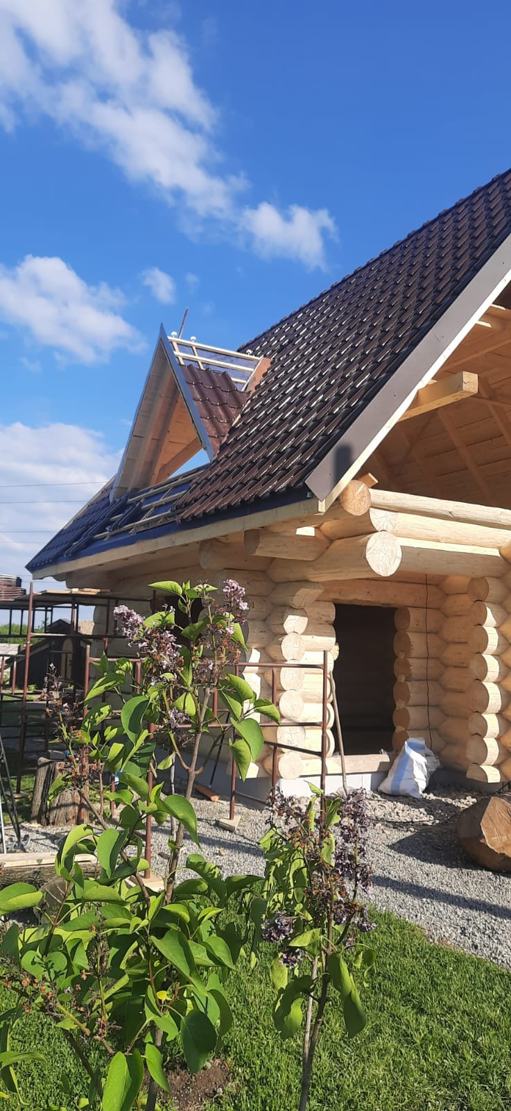 Wznoszenie domu z bali w Nowym Targu, widok na fragment dachu z brązową dachówką i niezadaszoną część szkieletu dachu, na pierwszym planie kwitnący krzew bzu.