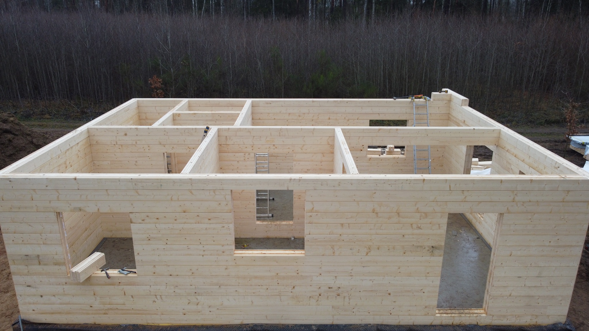 Surowa konstrukcja domu z jasnego drewna, widok z góry na ściany z otworami okiennymi i drzwiowymi, drabina oparta o ścianę, las w tle.