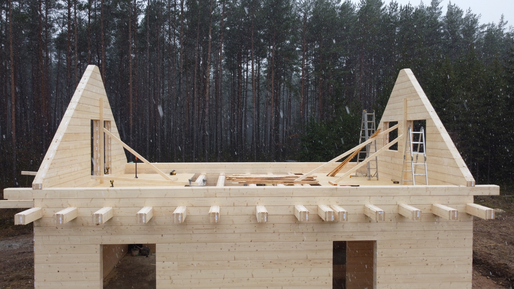 Surowa konstrukcja domu z jasnego drewna na tle ciemnego lasu podczas opadów śniegu. Widoczne drabiny i narzędzia na budowie.
