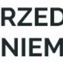 Logo z czerwoną literą N w kwadracie i napisem 'SPRZEDAWAJ W NIEMCZECH' w kolorze czarnym.