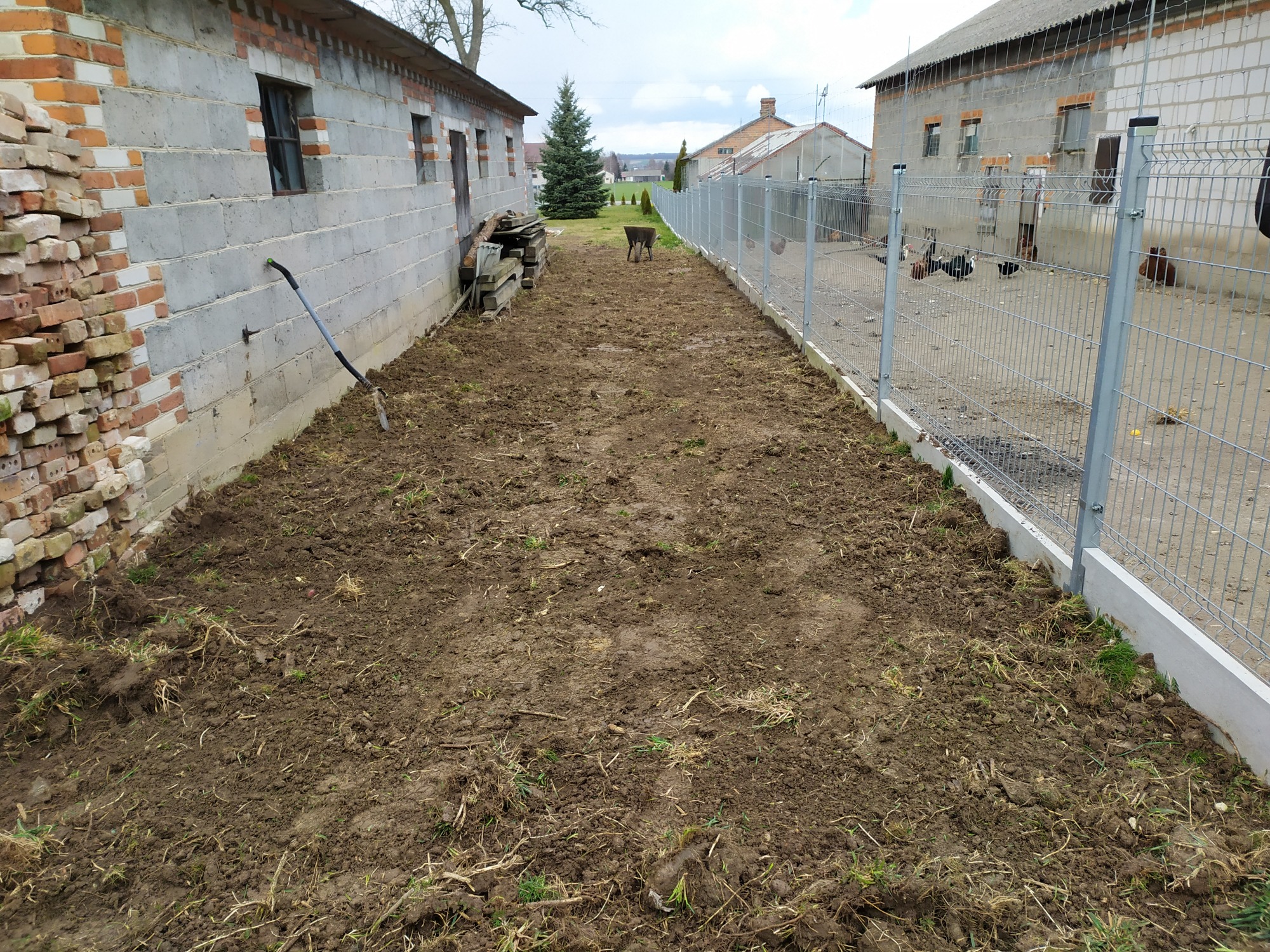 Przygotowany teren pod przyszły trawnik lub ogród, ziemia świeżo przekopana, widoczny nowy płot z siatki, budynki gospodarcze w tle.
