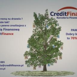Czy pieniądze rosną na drzewie? Może tak? Ale inwestycję na pewno zrealizujesz z Kancelarią Finansową Creditfinance.