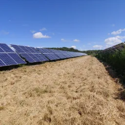 Rząd paneli słonecznych na polu ze ściętą trawą, błękitne niebo z chmurami w tle.