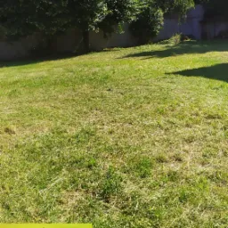 Świeżo skoszony trawnik z widocznymi resztkami trawy, drzewa w tle, częściowo zasłonięty logotyp z danymi kontaktowymi firmy ogrodniczej w lewym dolnym rogu.