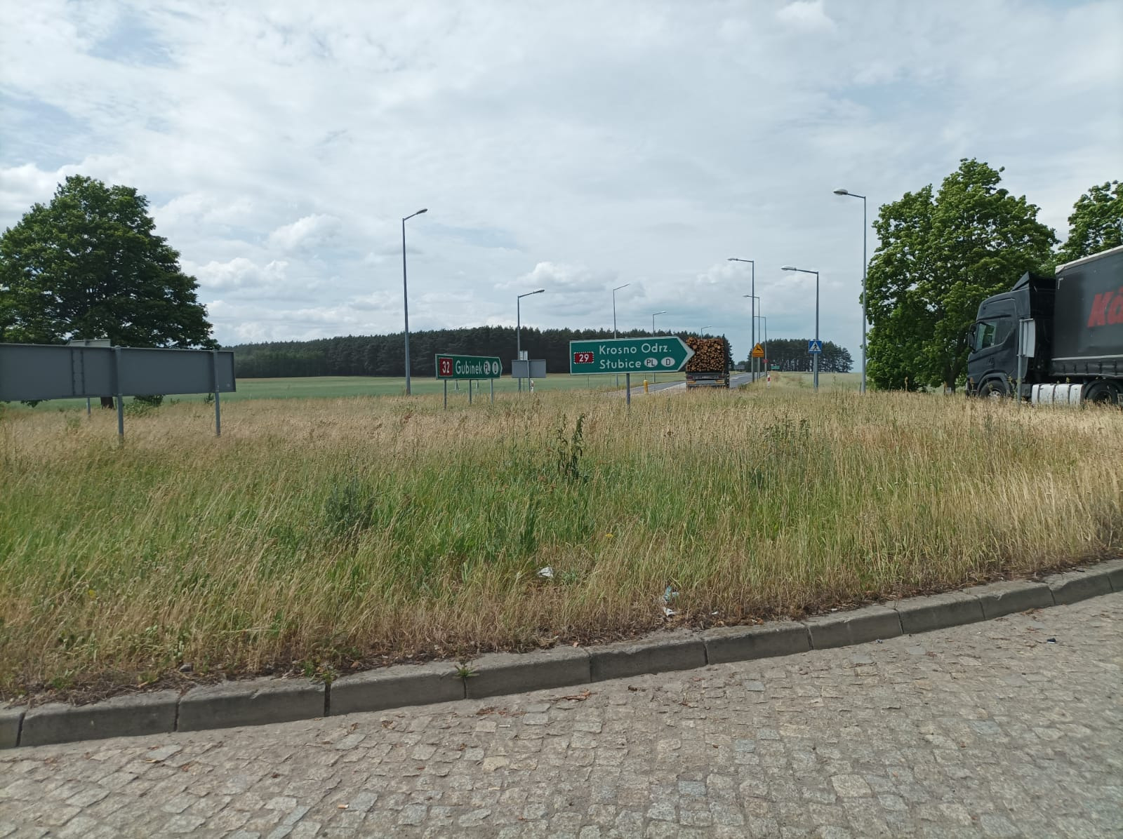 Ciężarówka z drewnem na przyczepie, widziana zza kępy wysokiej trawy przy drodze z drogowskazami na Gubinek i Krosno Odrzańskie.