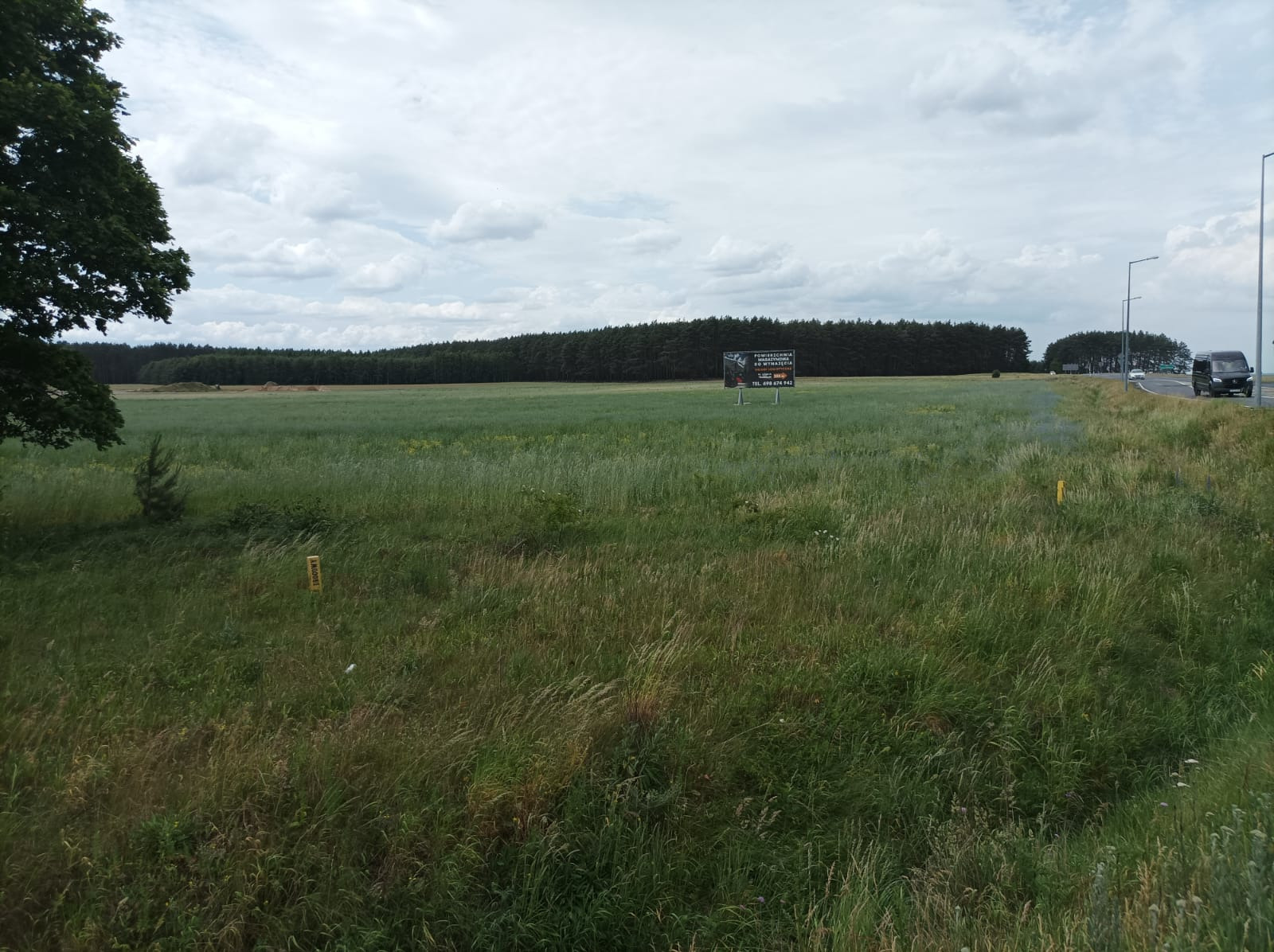Teren pod budowę magazynu w Miastku, z widoczną tablicą reklamową firmy oferującej powierzchnie magazynowe i lasem w tle.