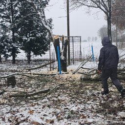 ESPANIOL-BUD - Mężczyzna w ciemnej kurtce i kapturze przechodzi obok pnia drzewa z niebieskimi wspornikami, po wycince, na ziemi leżą gałęzie i wióry, w tle ogrodzenie z siatki i zaśnieżone pole, zimowy krajobraz.