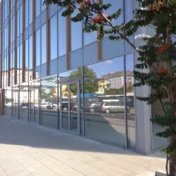 Nowoczesny budynek biurowy z przeszkloną fasadą, w której odbijają się okoliczne budynki i drzewa. Przed budynkiem rośnie jarzębina z czerwonymi owocami, częściowo zasłaniająca wejście.