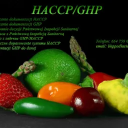 Informacje o HACCP/GHP, kontakt telefoniczny i email, otoczone kompozycją ze świeżych warzyw i owoc&oacute;w na czarnym tle.