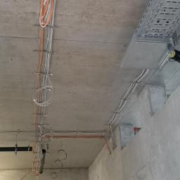 Elektryk Gorzów Wielkopolski 2