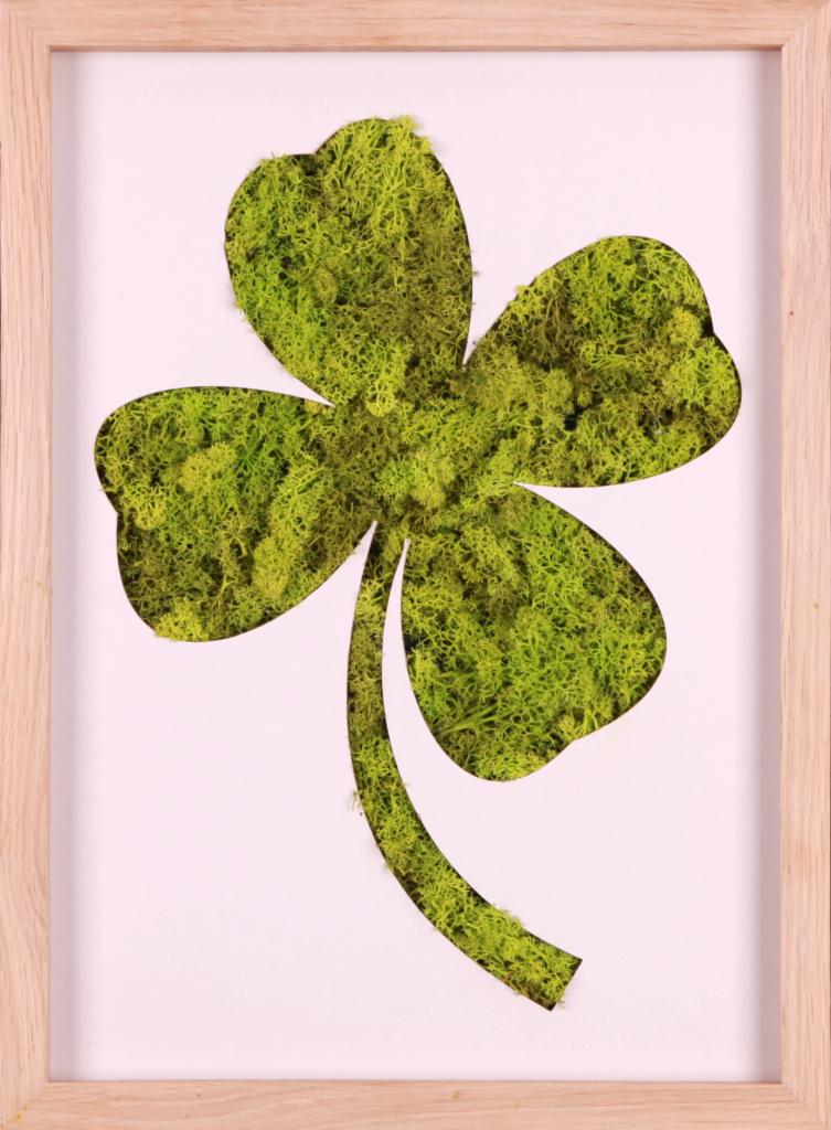 Czterolistna koniczyna z mchu w drewnianej ramce, dekoracja ścienna.