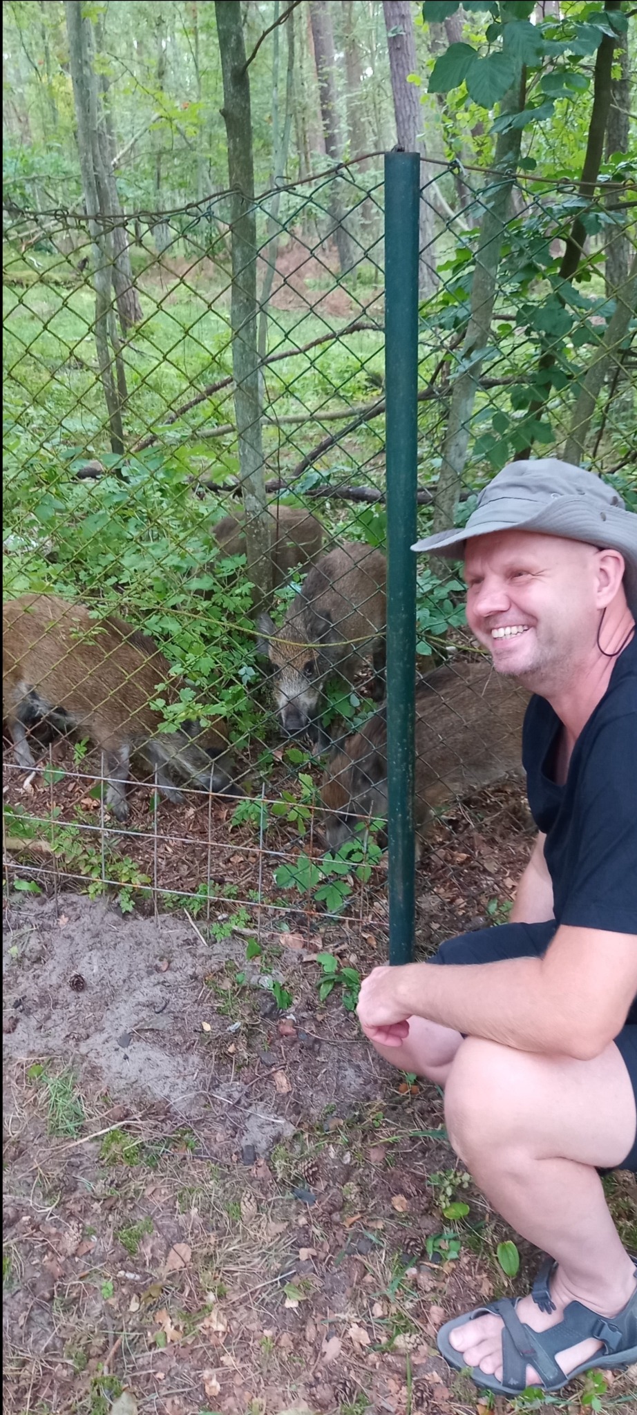 Uśmiechnięty mężczyzna w kapeluszu kuca przed ogrodzeniem, za którym widać dziki w lesie.