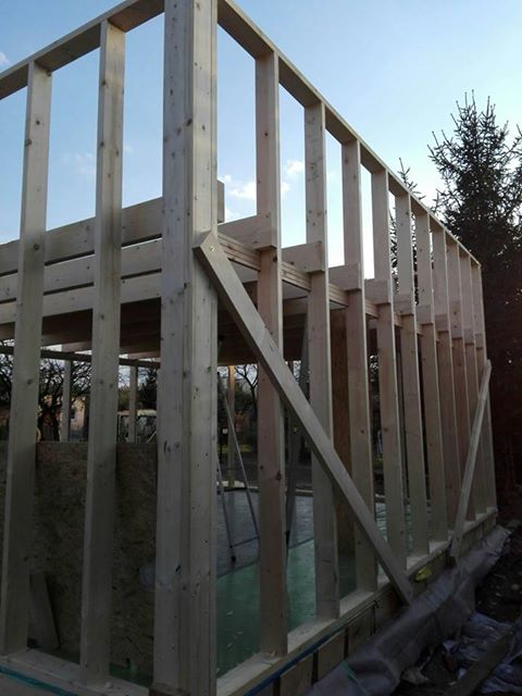 Konstrukcja szkieletowa budynku z jasnego drewna, widoczne słupki i belki, w tle drzewa i częściowo zachmurzone niebo.