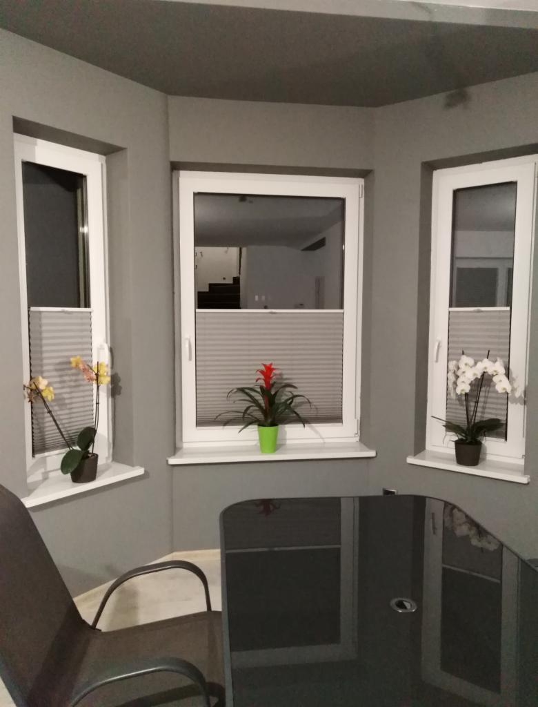 Szare wnętrze z trzema oknami wyposażonymi w plisowane osłony okienne, na parapetach kwiaty w doniczkach, widoczny fragment szarego krzesła i czarnego stołu.