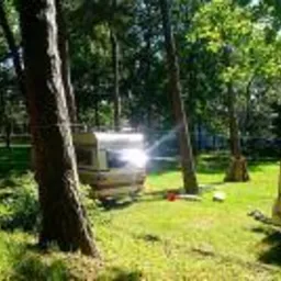 Kemping w lesie: przyczepa kempingowa na trawiastym polu namiotowym, otoczona drzewami. Widoczne inne przyczepy w tle.