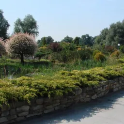 To dla nas piorytet - rośliny, kamień i woda