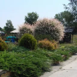 Najważniejsze jest otoczenie i dobra energia - Feng Shui