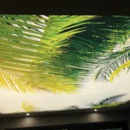 Podświetlany sufit napinany z nadrukiem liści palmowych, widoczne halogenowe punkty oświetleniowe.