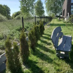 Panelowe ogrodzenie wzdłuż działki z młodymi tujami i oryginalną ławką z drewna.