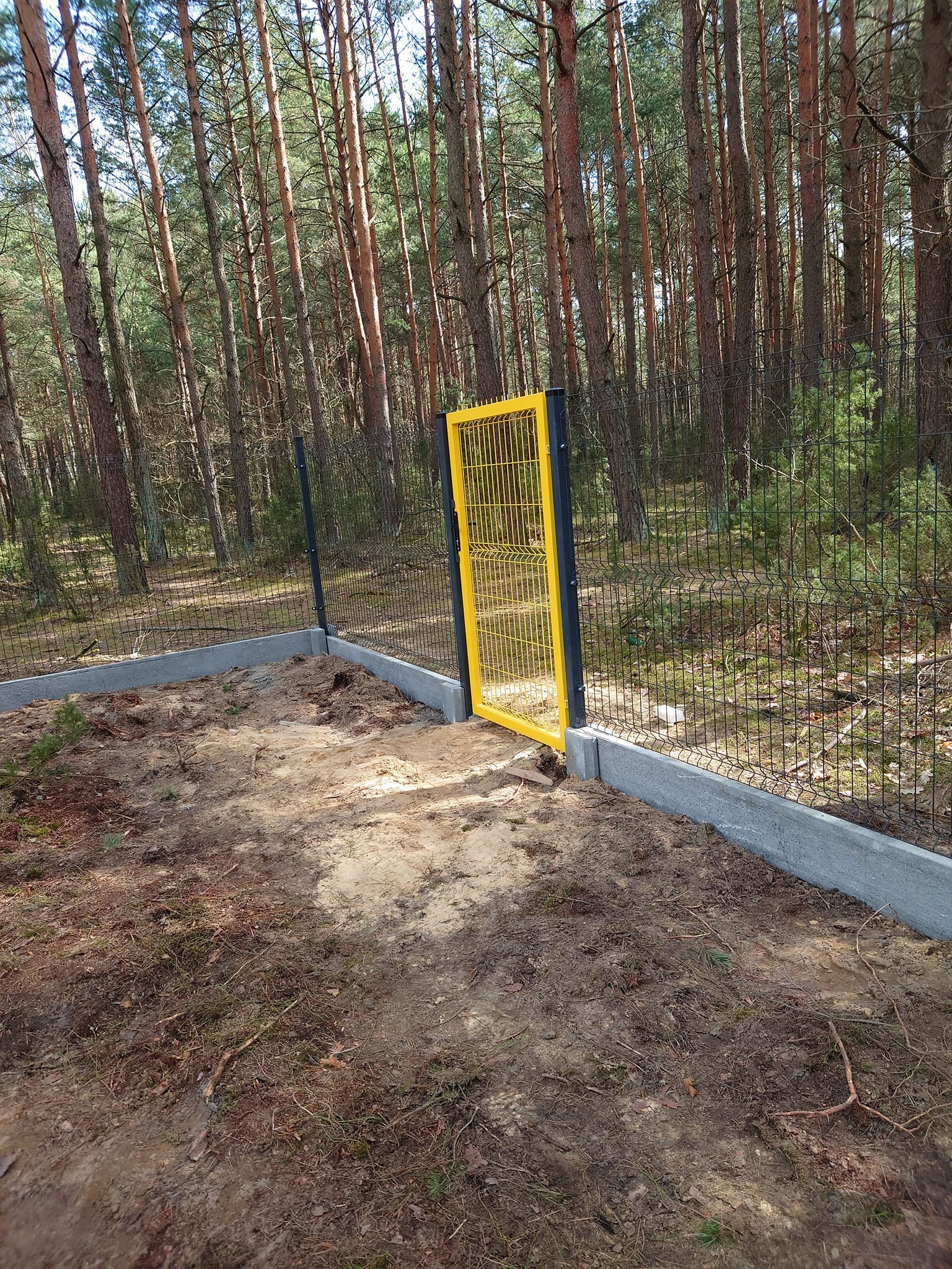 Fragment ogrodzenia z siatki z żółtą bramką w lesie, widoczne betonowe podmurówki, teren przygotowany pod dalsze prace.