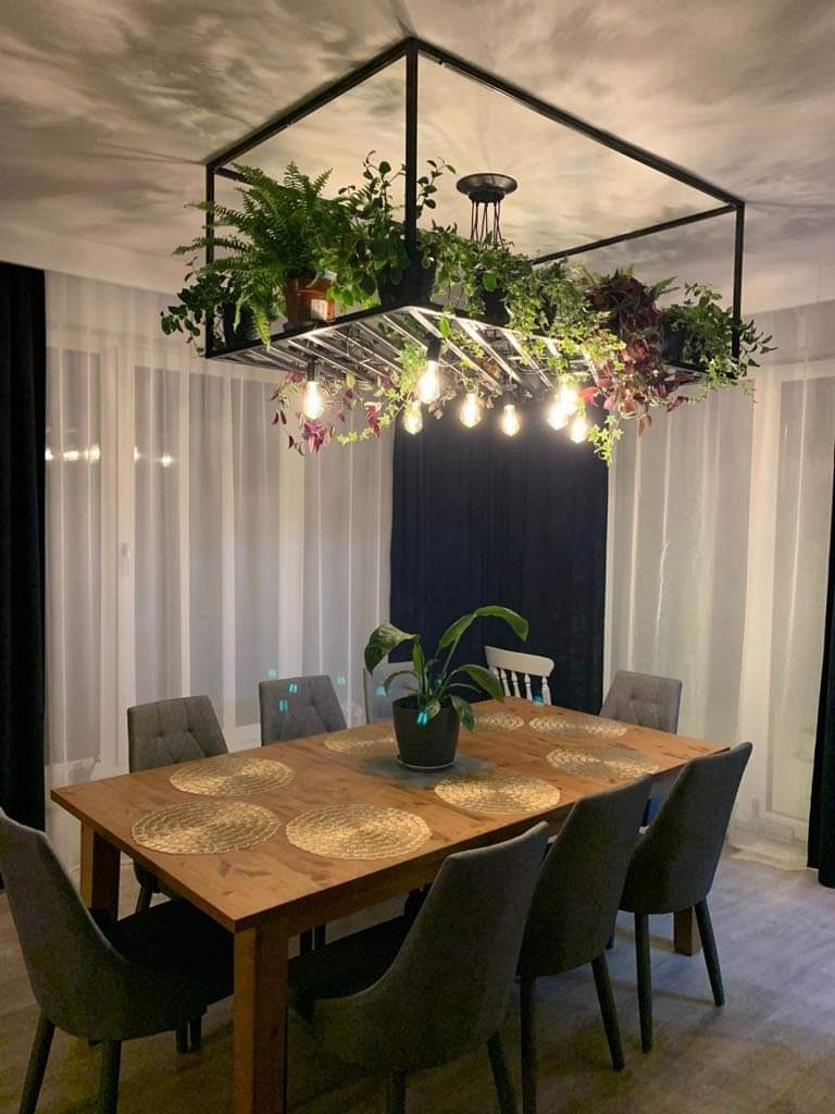Jadalnia z drewnianym stołem i szarymi krzesłami; nad stołem oryginalna metalowa konstrukcja z roślinami doniczkowymi i żarówkami, tworząca nietypowy kwietniko-żyrandol.