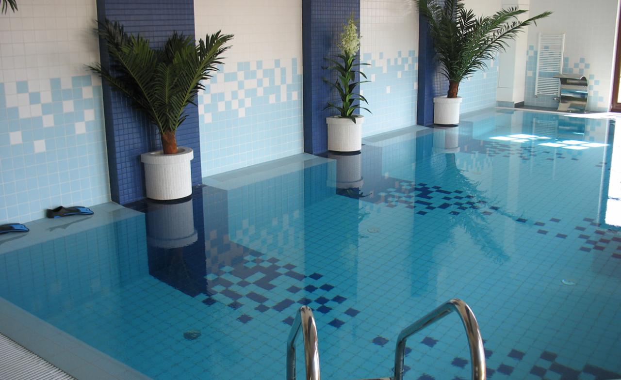 Kryty basen z jasnoniebieskimi płytkami i dekoracyjnymi roślinami w białych donicach, widoczne schodki wejściowe i dziecięce płetwy na brzegu.