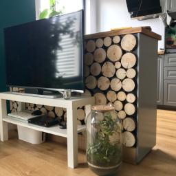 Remonty Tadeusz Nowak - Telewizor na białym stoliku RTV, obok regał z dekoracją z plastrów drewna i duży słój z roślinami, na podłodze panele w odcieniach drewna, ściana pomalowana na ciemnozielono.