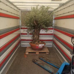 Transport busem Łódź 3