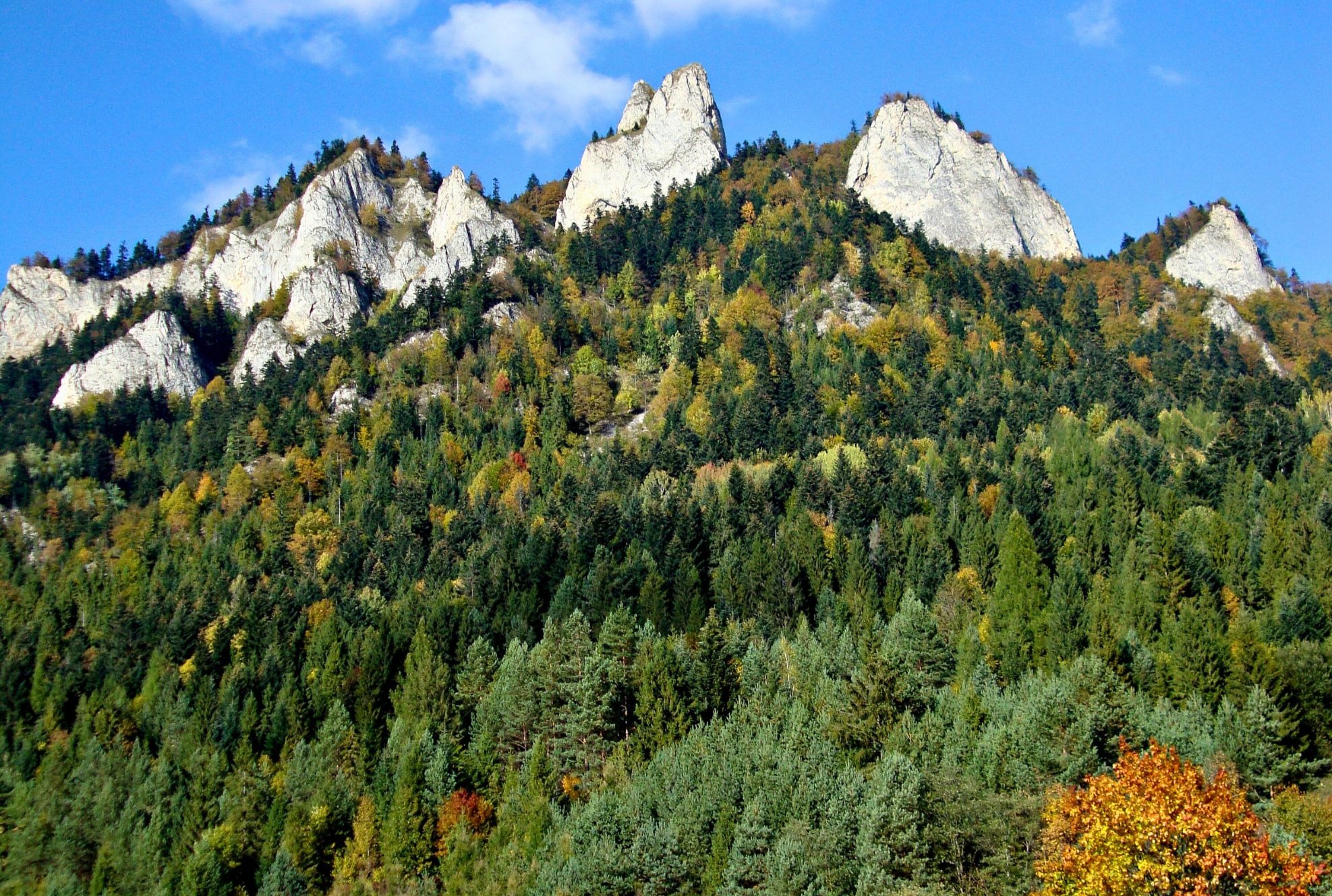 Panoramiczny widok na górski szczyt z wapiennymi skałami i lasem mieszanym w jesiennej kolorystyce, błękitne niebo z chmurami w tle.