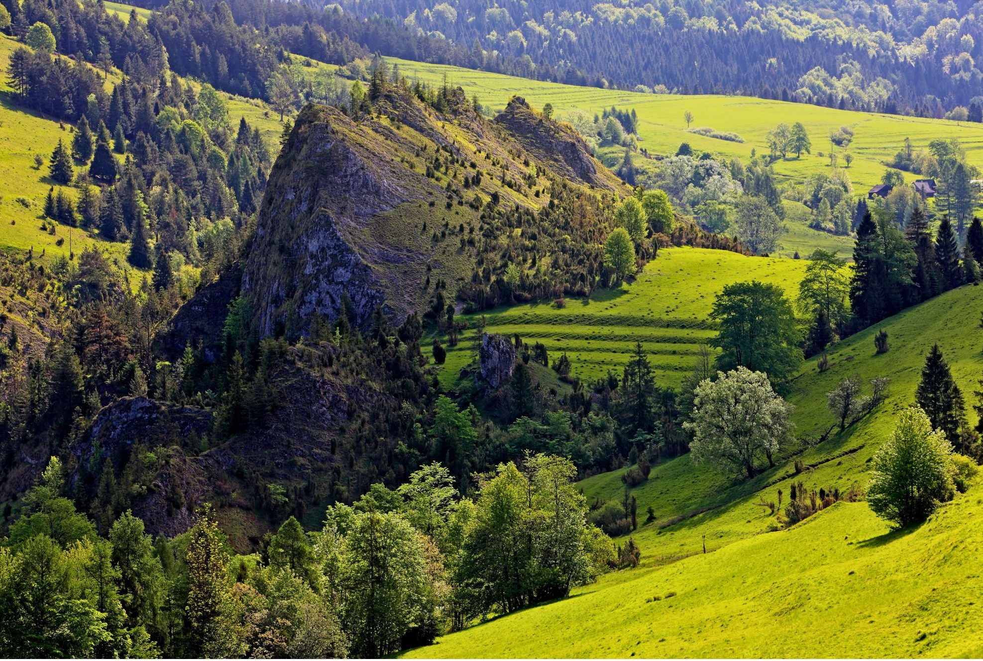 Panoramiczny widok na malowniczy krajobraz z zielonymi wzgórzami, lasami i skalistym szczytem, prawdopodobnie w okolicach Rzeszowa, idealny na wycieczki i wczasy.