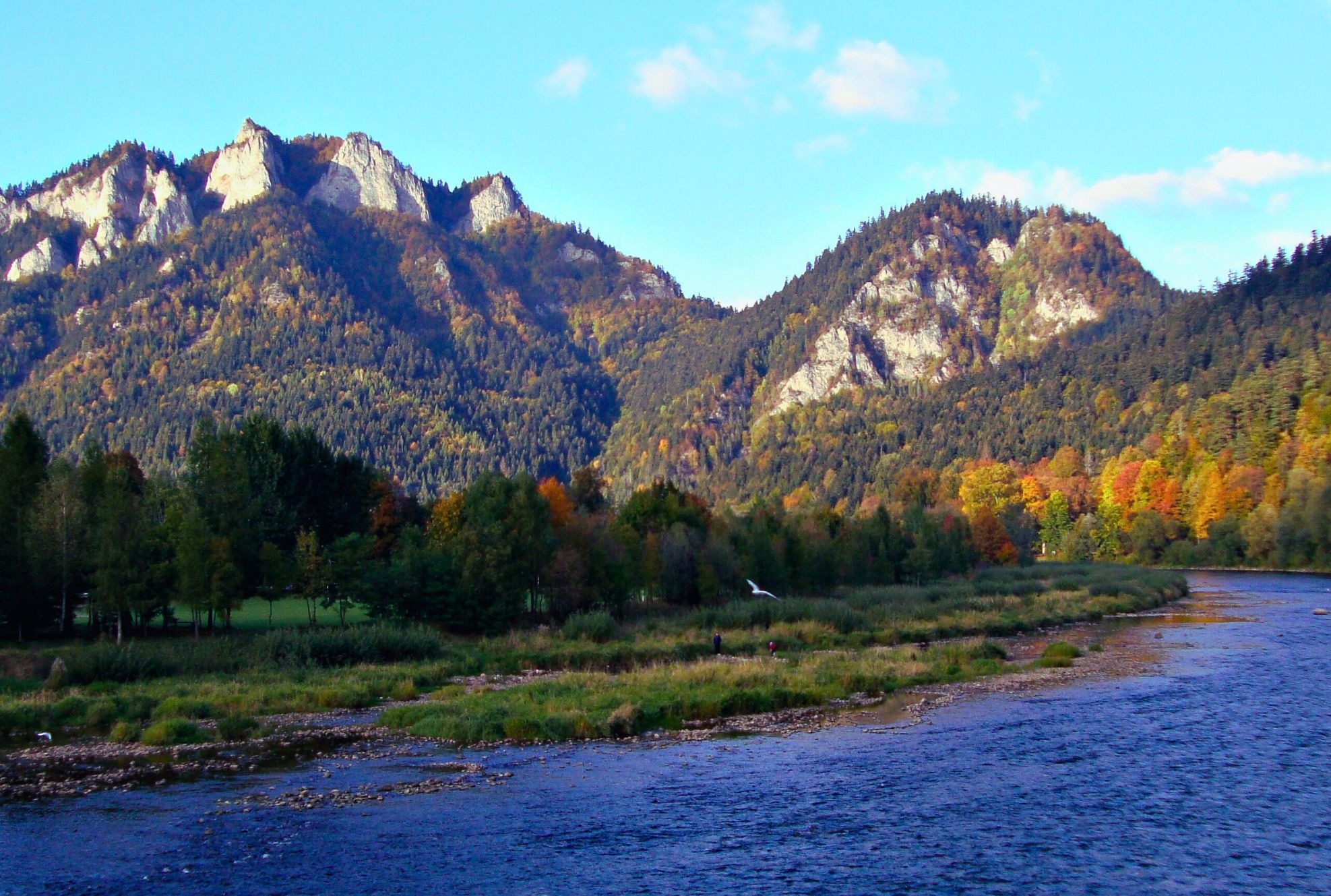 Jesienny krajobraz z rzeką w dolinie, skalistymi szczytami górskimi w tle i samotnym ptakiem w locie.