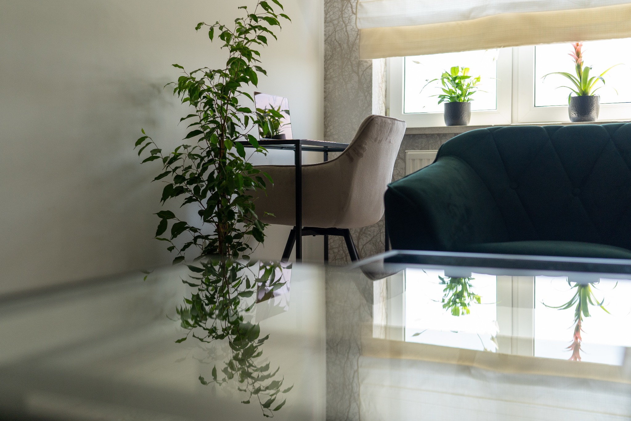 Wnętrze gabinetu z zielonymi roślinami, biurkiem, krzesłem i ciemnozieloną sofą, widziane z perspektywy niskiego szklanego stolika kawowego.