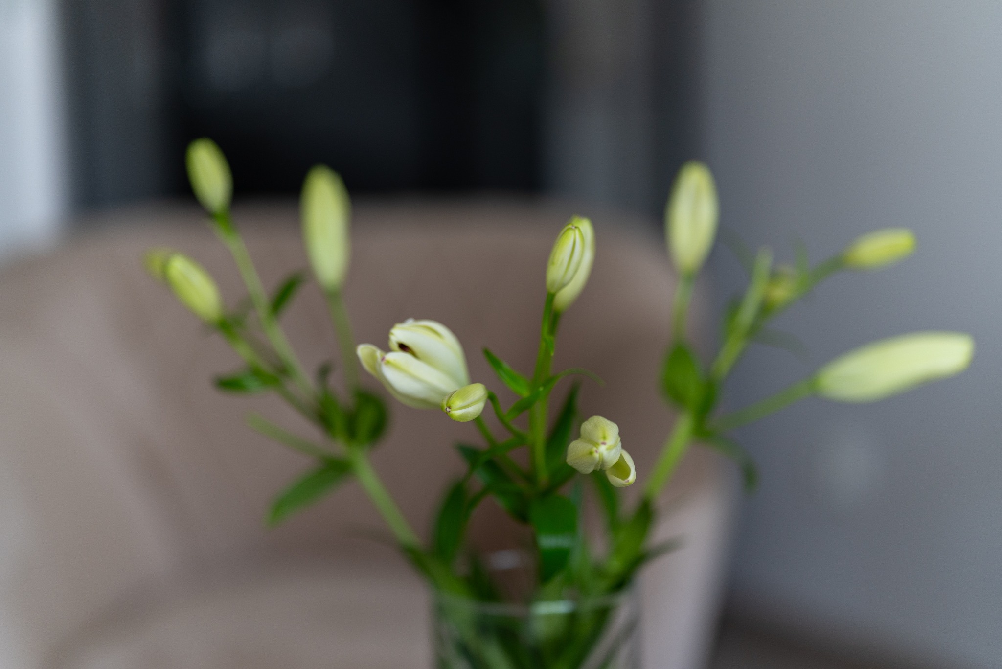 Bukiet białych lilii w szklanym wazonie, z widocznymi pąkami i częściowo rozwiniętymi kwiatami, ustawiony na tle rozmytego wnętrza.