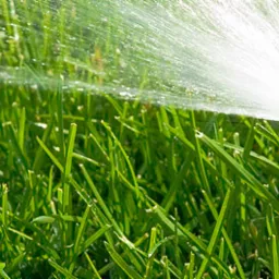 Automatyczne nawadnianie ogrodu