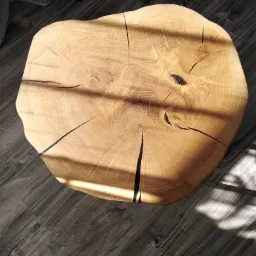 Blat z litego drewna o nieregularnym kształcie, widoczne słoje i pęknięcia, leżący na podłodze z paneli w promieniach słońca.