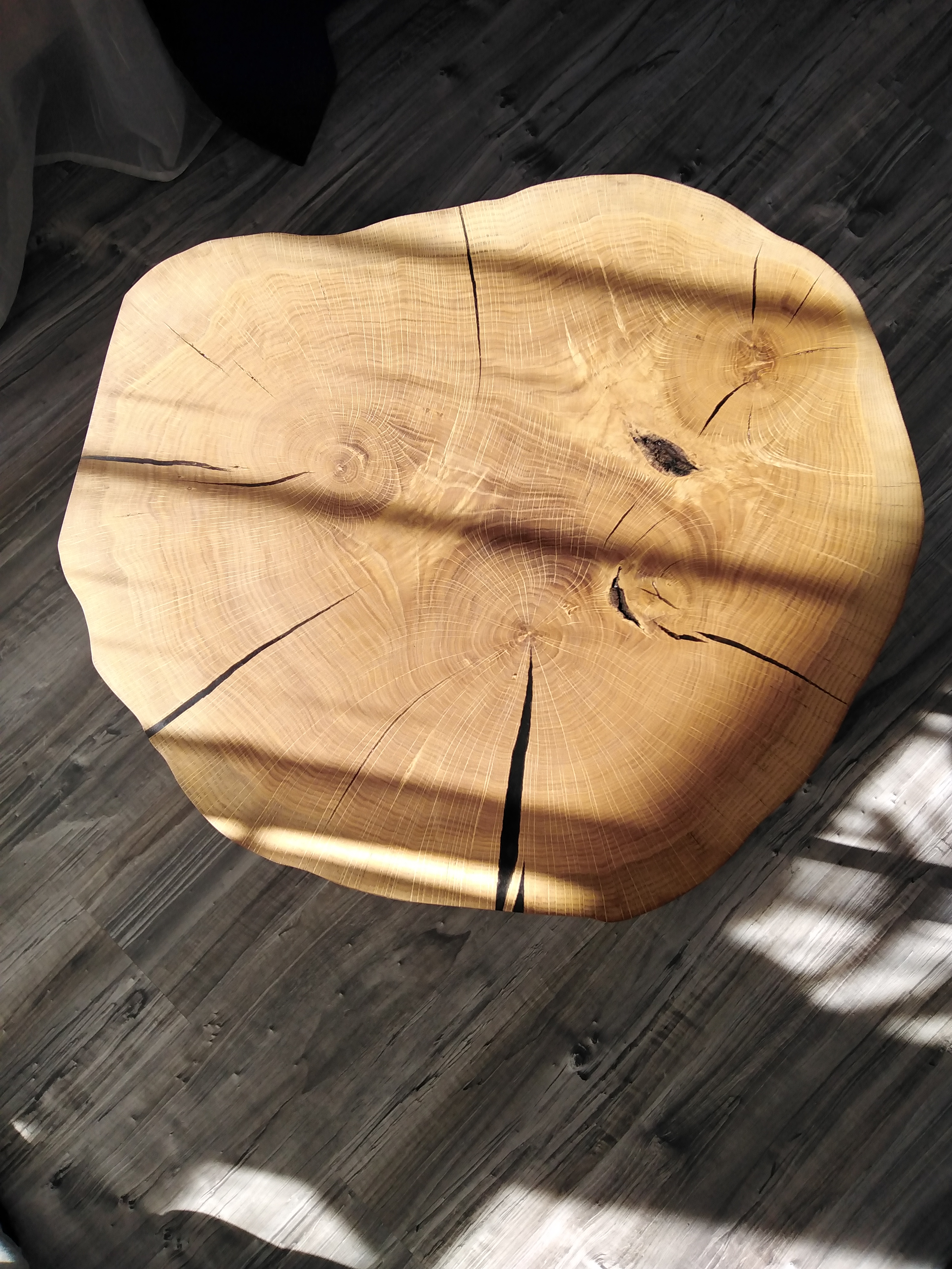 Blat z litego drewna o nieregularnym kształcie, widoczne słoje i pęknięcia, leżący na podłodze z paneli w promieniach słońca.